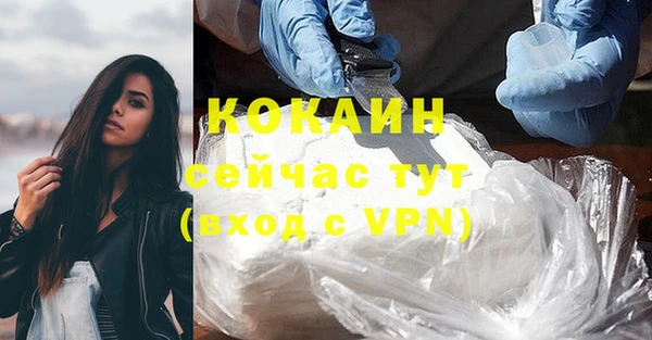 стафф Семилуки